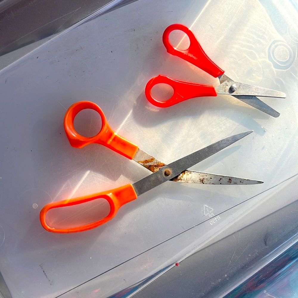 Scissors